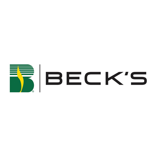 Becks Hybrid