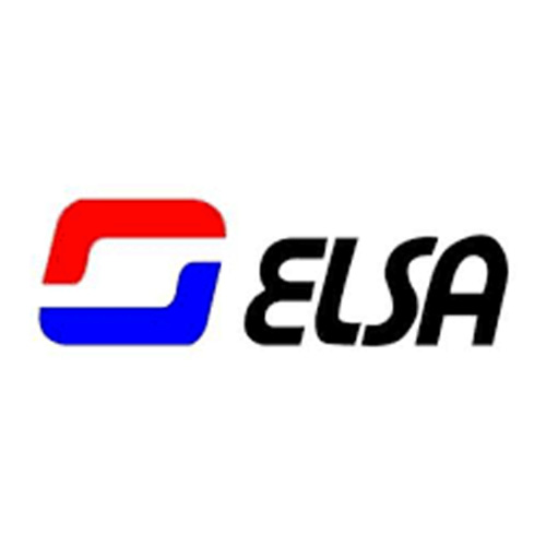 Elsa