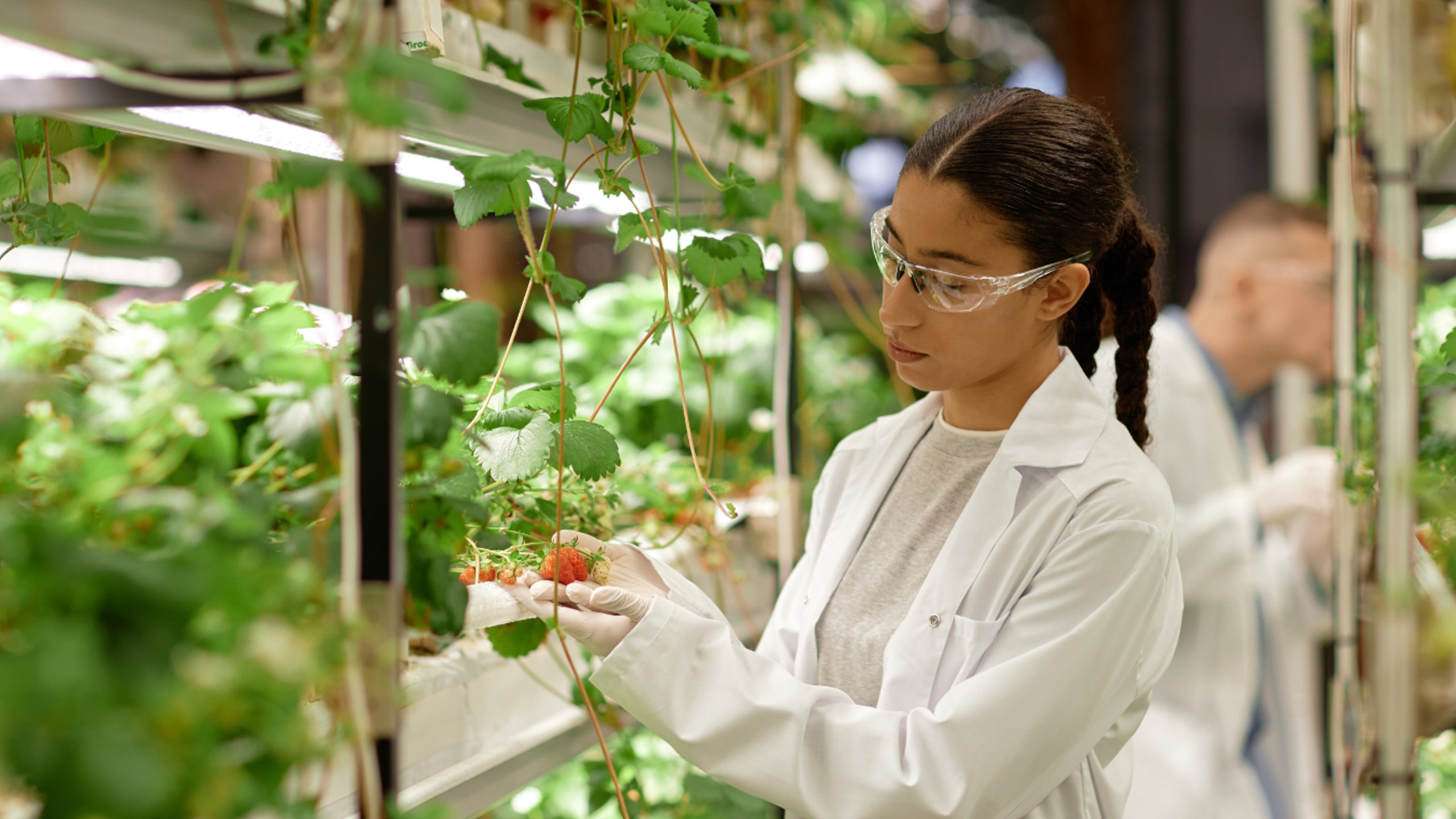 Agbiosciences