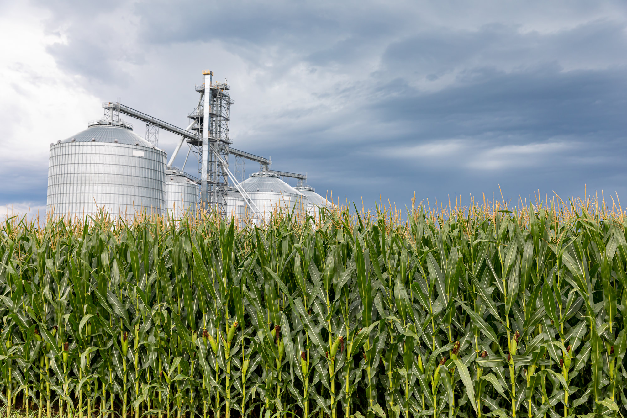 Agribusiness Council of Indiana 
