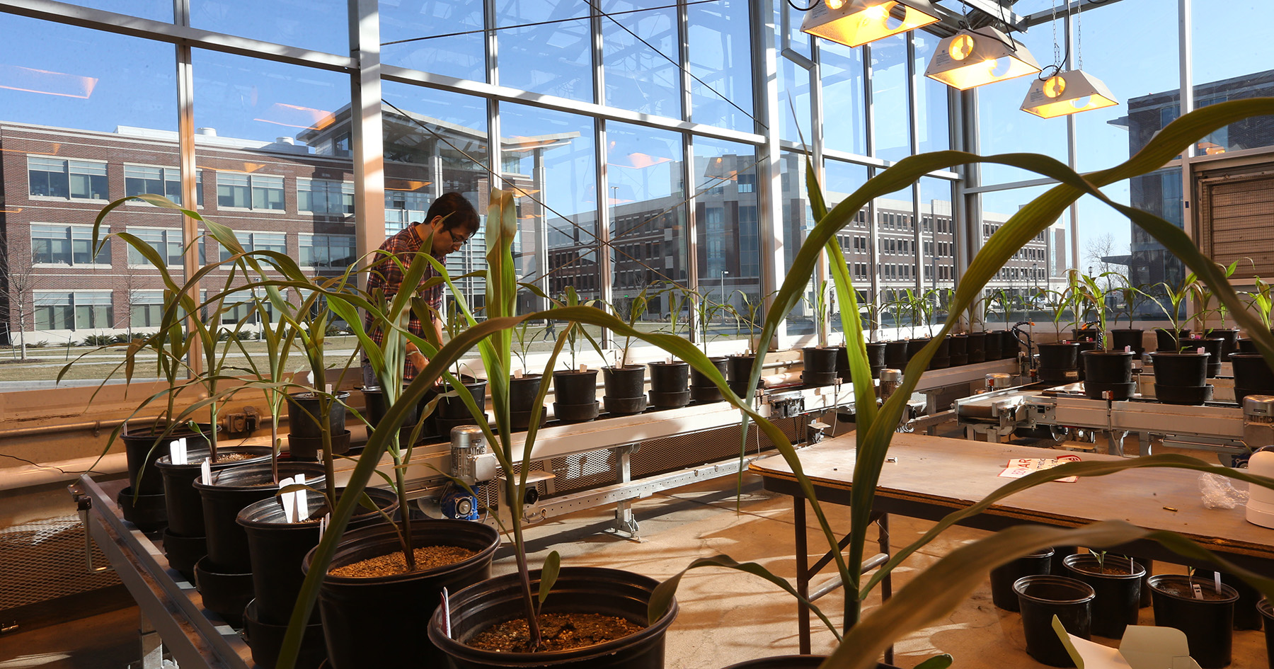 Purdue University College of Agriculture