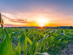 Indiana State Department of Agriculture (ISDA) 