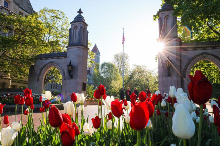 Indiana University Robotics Degree Program